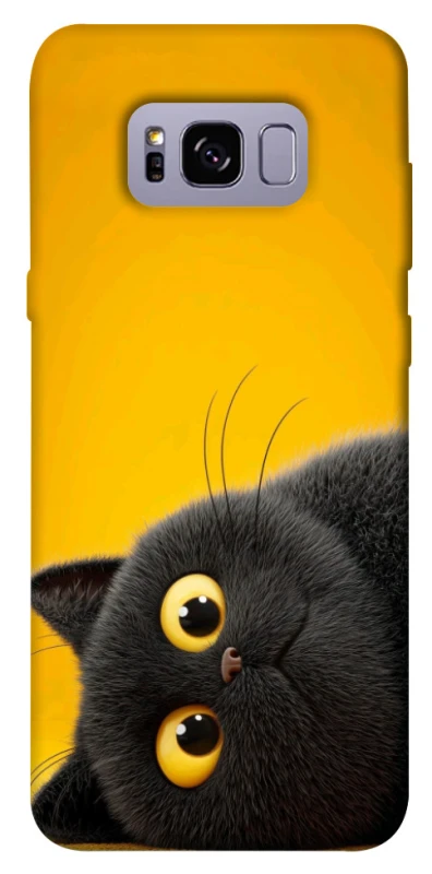 Чохол на Samsung G955 Galaxy S8 Plus This is Cat фото 1 з 1