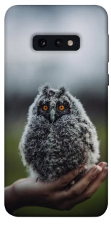Чехол на Samsung Galaxy S10e Совёнок фото 1 из 1
