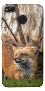 Чехол на Xiaomi Redmi 4X Лиса фото 1 из 1