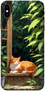 Чохол на Apple iPhone X (5.8") red cat фото 1 з 1