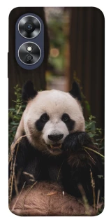 Чехол на Oppo A17 Панда фото 1 из 1