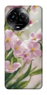 Чехол на Realme C67 4G Spring фото 1 из 1