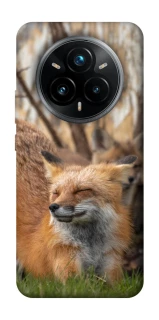 Чехол на Realme 14 Pro Лиса фото 1 из 1