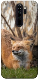 Чехол на Xiaomi Redmi Note 8 Pro Лиса фото 1 из 1