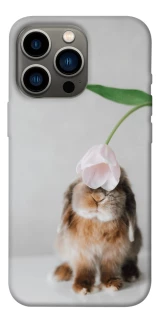 Чохол на Apple iPhone 13 Pro (6.1") Bunny фото 1 з 1