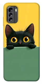 Чохол на Nokia G60 Black cat v2 фото 1 з 1