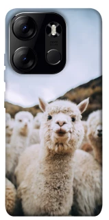 Чехол на Tecno Spark Go 2023 Лама фото 1 из 1