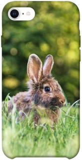 Чехол на Apple iPhone SE (2020) Кролики фото 1 из 1