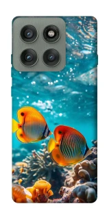 Чехол на Motorola Edge 60 Pro Coral fish фото 1 из 1