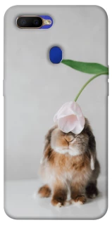 Чохол на Oppo A5s Bunny фото 1 з 1