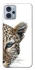 Чохол на Motorola Moto G23 Leopard Art v2 фото 1 з 1