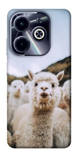Чохол на Infinix Hot 40i Лама фото 1 з 1