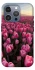 Чехол на Apple iPhone 16 Pro Max Spring Awakening фото 1 из 1