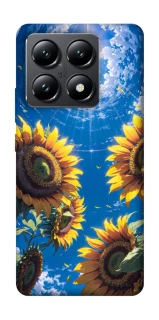 Чохол на Xiaomi 14T Sunflowers фото 1 з 1