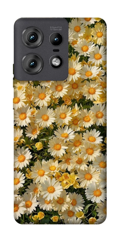 Чохол на Motorola Edge 50 Pro Camomile фото 1 з 1