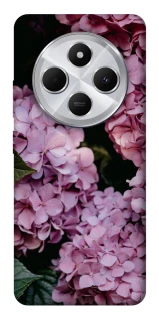 Чохол на Xiaomi Redmi 14C / Poco C75 Рожеві гартензії фото 1 з 1