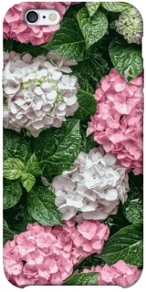 Чехол на Apple iPhone 6/6s plus (5.5") Secret Garden фото 1 из 1