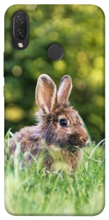 Чохол на Huawei P Smart+ (nova 3i) Кролики фото 1 з 1