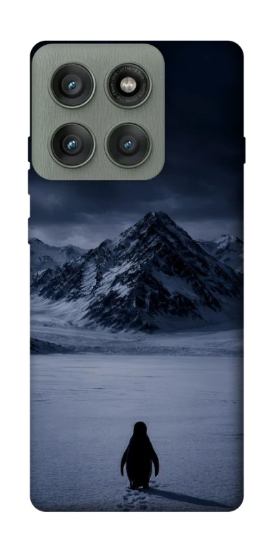 Чохол на Motorola Edge 60 Pro But why? фото 1 з 1