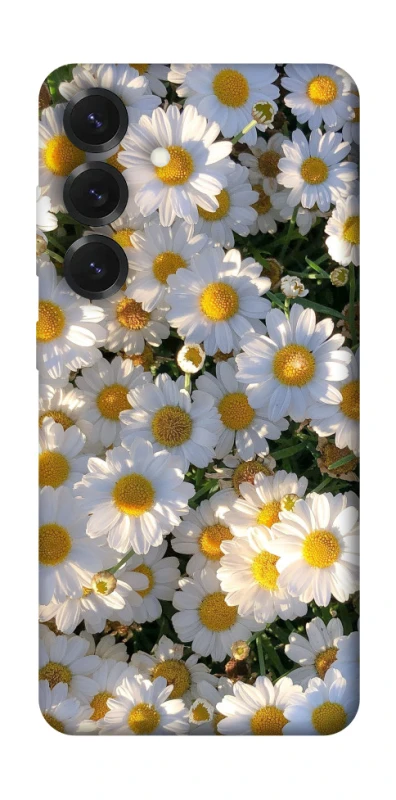 Чехол на Samsung Galaxy S26 Edge Поле ромашек фото 1 из 1