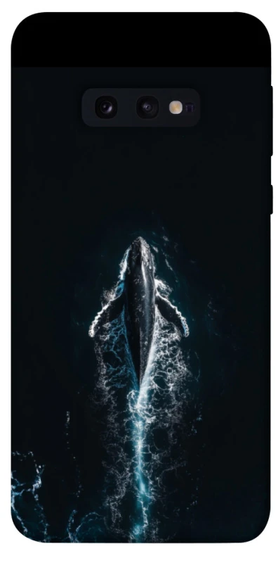 Чехол на Samsung Galaxy S10e Whale фото 1 из 1