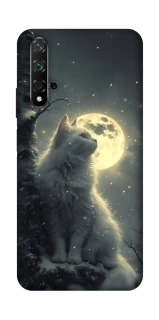 Чохол на Huawei Honor 20 / Nova 5T Кіт під місяцем фото 1 з 1
