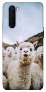 Чохол на OnePlus Nord Лама фото 1 з 1