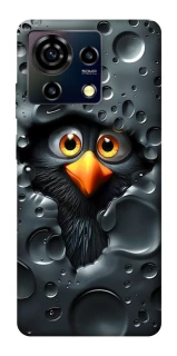 Чохол на ZTE Blade V50 Vita Ну привіт ! фото 1 з 1