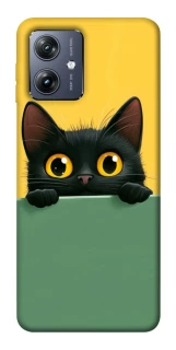 Чохол на Motorola Moto G54 Black cat v2 фото 1 Чохол на Motorola Moto G54 Black cat v2 фото 1 з 1