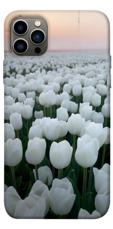 Чехол на Apple iPhone 12 Pro (6.1") Flowers v1 фото 1 из 1