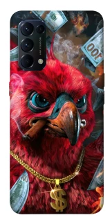 Чехол на Oppo Reno 5 4G Попугай фото 1 из 1