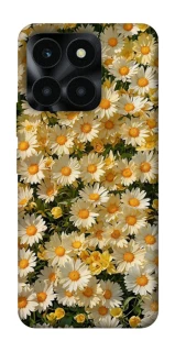 Чохол на Huawei Honor X6a Camomile фото 1 з 1