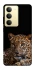 Чохол на Realme 14x Leopard v4 фото 1 з 1