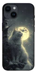 Чохол на Apple iPhone 14 (6.1") Кіт під місяцем фото 1 з 1