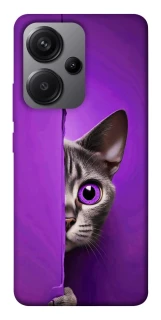 Чохол на Xiaomi Redmi Note 13 Pro+ Кіт-підглядач фото 1 з 1
