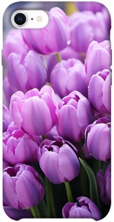 Чехол на Apple iPhone SE (2020) Фиолетовые тюльпаны фото 1 из 1