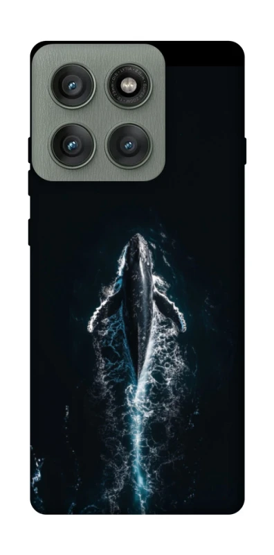 Чехол на Motorola Edge 60 Pro Whale фото 1 из 1