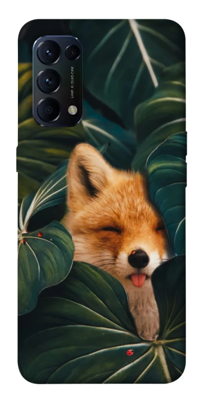 Чохол на Oppo Reno 5 4G Fox фото 1 з 1