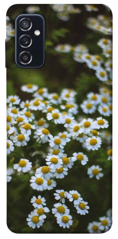 Чехол на Samsung Galaxy M52 Ромашки v13 фото 1 из 1