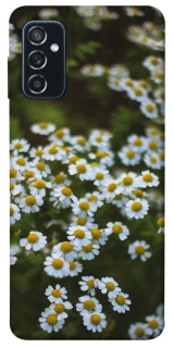 Чехол на Samsung Galaxy M52 Ромашки v13 фото 1 из 1