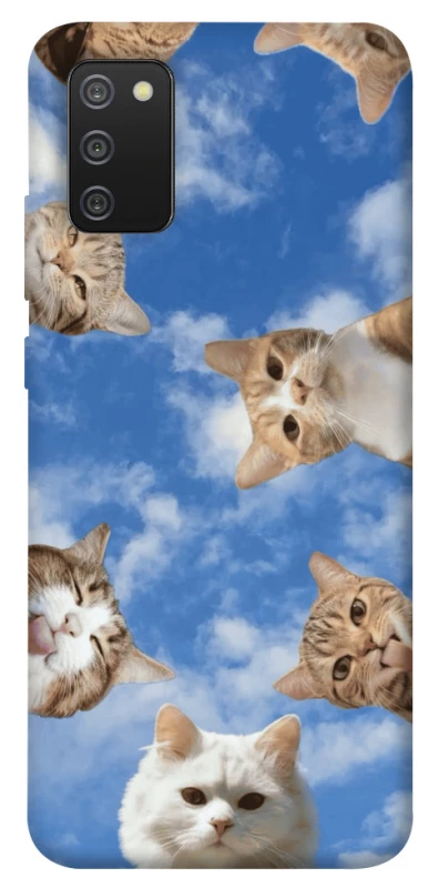 Чехол на Samsung Galaxy A02s Сats фото 1 из 1
