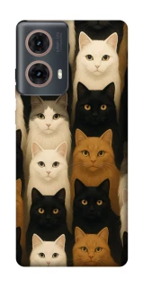 Чохол на Motorola Moto G85 Colorful Cat Collage фото 1 Чохол на Motorola Moto G85 Colorful Cat Collage фото 1 з 1