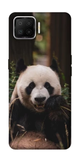 Чохол на Oppo A73 (2017) Панда фото 1 з 1