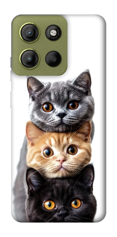 Чехол на Motorola Moto G15 4G Красивые котики фото 1 из 1