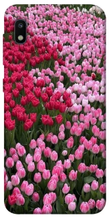 Чохол на Samsung Galaxy A10 (A105F) Flowers v9 фото 1 з 1