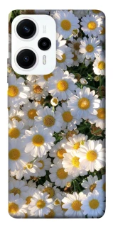 Чохол на Xiaomi Poco F5 / Note 12 Turbo Поле ромашок фото 1 з 1