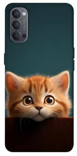 Чехол на Oppo Reno 4 Чехол Котёнок фото 1 из 1