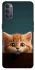 Чехол на Oppo Reno 4 Чехол Котёнок фото 1 из 1