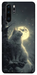 Чехол на Huawei P30 Pro Кот под луной фото 1 из 1