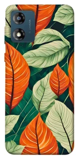 Чохол на Motorola Moto E13 Leaves фото 1 з 1